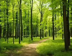 九游-峰度控股骆国峰